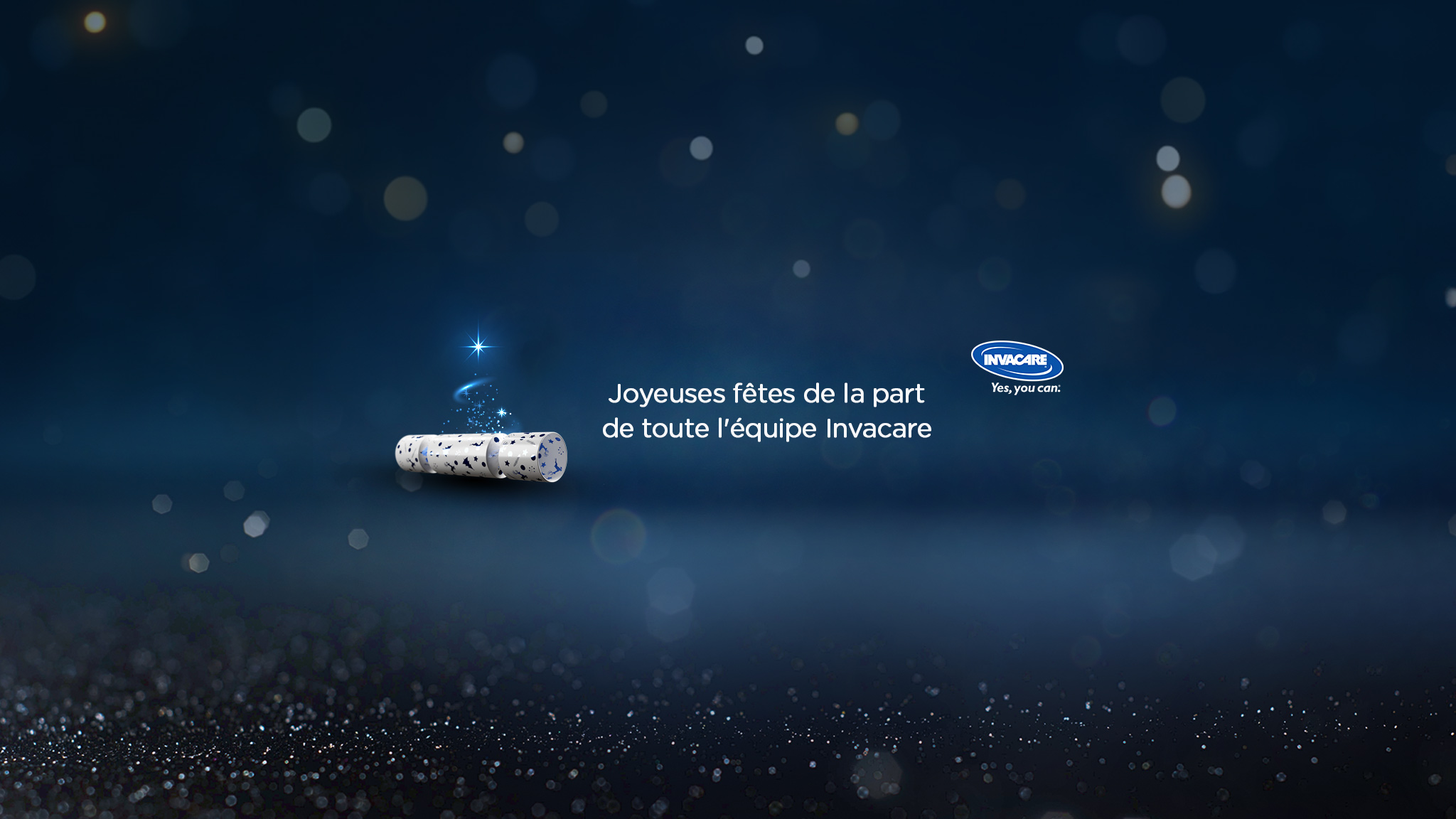 Invacare vous souhaite de bonnes fêtes de fin d'année ! Invacare vous souhaite de bonnes fêtes de fin d'année !