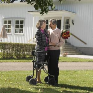 Rollator Dolomite Melody