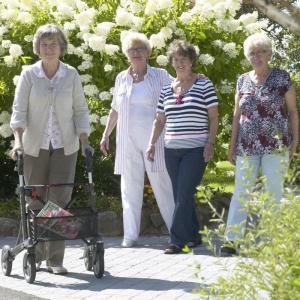 rollator dolomite jazz 1 personne agees