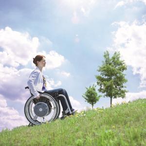 Alber e-motion M15